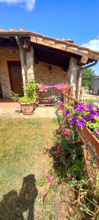 Agriturismo La Casina Сатурния Экстерьер фото